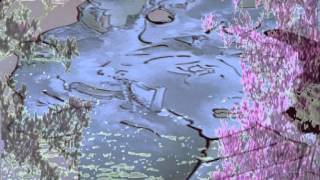 APO YALO - ΨΑΡΑΣ ΘΑ ΓΙΝΩ ΣΤΗΝ ΣΤΕΡΙΑ -(A.KALDARAS) E. T. P. - Nikolas Gkinis'- Despina Matraka)