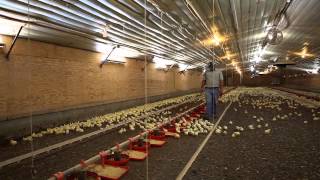 Cooley Farms - USPOULTRY Family Farm Environmental Excellence Award Winner