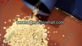 Dried Bean Peeling Machine|Broad Bean Skin Removing Machine|Beans Peeler Equipment