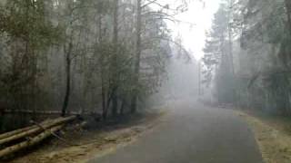 Последствия лесного пожара на Карьере Луховицы 01.08.2010