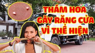 Gia đình là số 1 Phần 2  tập 84 Cut | Thám Hoa Bị Gãy Răng Vì Muốn Thể Hiện Bản Lĩnh Phụ Nữ