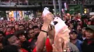 Red Shirts return to Bangkok