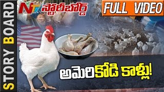 US Chicken Strategy On India #PoultryLoss #ChikenLegsExport - Story Board - NTV