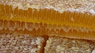 Содержание пчел на чердаке частного дома