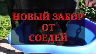 ЗАБОР ДЛЯ ИСПУГАННЫХ СОСЕДЕЙ.ШУНЯ НА ПОСТУ