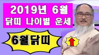 2019년 6월 닭띠운세 (닭띠 6월 나이별운세) 그냥 닭띠는 아니였네/닭띠의 이유있는 반란^^