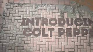 INTRODUCING COLT PEPPERS BY RZY 150 | JOINED COLT RISING (PROJECT FILE IN DESC)