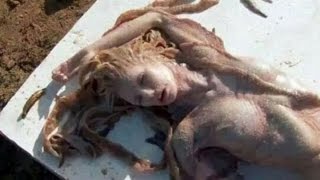 РУСАЛКИ - КРАСАВИЦЫ ИЛИ ЧУДОВИЩА?