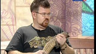 В мире животных - 2012.02.13 (Россия-2)