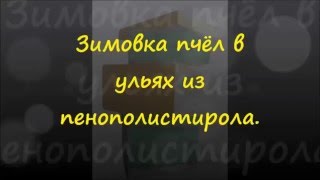 Зимовка пчёл в ульях из пенополистирола