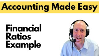 FA8 - Financial Ratios