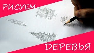 Как нарисовать дерево? Разные виды деревьев.