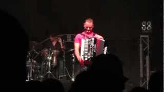 Gaelic Storm - Alligator Arms