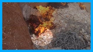Chicks Struggle to Escape Being Burned to Death