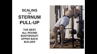 How To Scale Gironda Sternum Pull Ups, The King of Bodyweight Upper Back Exercises