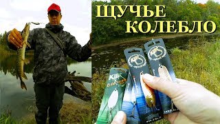 Разведка на ЖАБОВНИКЕ в запредельное давление! КОЛЕБАЛКИ KIBS - первое знакомство.