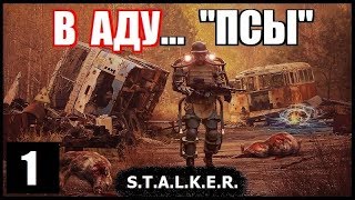 S.T.A.L.K.E.R. В Аду... Псы #1. КЛУБОК ЗМЕЙ!