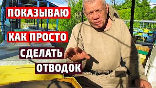 КАК СДЕЛАТЬ ОТВОДОК ПЧЕЛ Подсадка матки в отводок