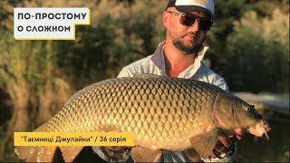 Дождались! Очень сильный карп. Тайны Джулайки [№37]