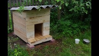 Мастер-класс по столярке: Собачья будка