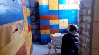 СЕМЕЙНЫЙ ПОДРЯД FAMILY ROW