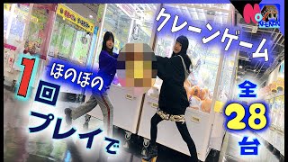 クレーンゲーム大量？！28台全1回やってみた！ほのぼの編（エブリデイとってき屋東京本店）【のえのん番組】