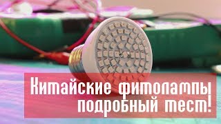 Тест китайских фитоламп с Алиэкспресс (подробно о спектре, нагреве и мощности)