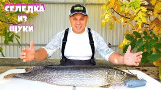 САМЫЙ ВКУСНЫЙ РЕЦЕПТ СЕЛЁДКИ ИЗ ЩУКИ от МИХАЛЫЧА! Пальчики оближешь!