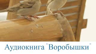 Аудиокнига ''Воробышки'' - 1 часть - читает Светлана Гончарова [Радио Голос Мира]