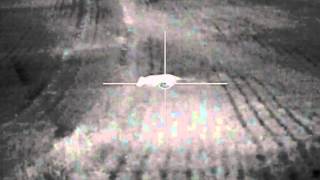 Pulsar Apex XD38 Thermal Riflescope - Fox/Vermin Control Footage - Warning