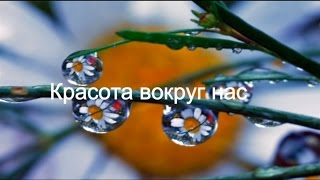 Красота вокруг нас.Удивительные места. #красота