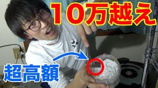 100000円を超えるクワガタが仲間入りしました！
