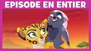 La Garde du Roi Lion - Moment Magique : Les gazelles