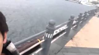 いつもの釣り(横浜みなとみらい地区で魚釣りしようとしたけど・・・)