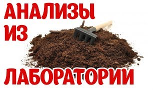 Почва для рассады!!!! Купить или сделать самому? Мы сравнили