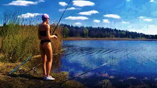 РЫБАЛКА на Рыбхозе. КАРП НА ЗАКИДУШКИ. ЩУКА в КАМЫШЕ. Хотово #4