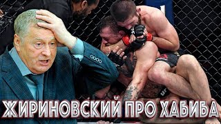 Жириновский ЖЕСТКО Высказался про Бой Хабиба