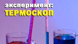 Галилео. Эксперимент ⚠ Термоскоп ? Thermoscope
