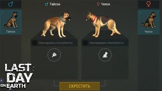Last Day On Earth  Survival ПЕРВОЕ ПОТОМСТВО МОИХ СОБАК