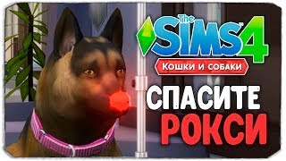 СПАСИТЕ РОКСИ! - The Sims 4 "Кошки и Собаки" ▮
