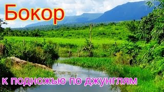 Камбоджа.Бокор-к подножью через джунгли
