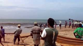 Рыбалка на Шри Ланке // Fishing in Sri Lanka