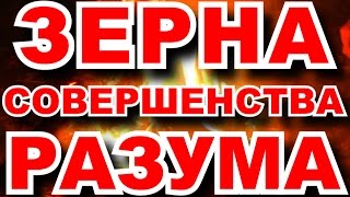 ЗЕРНА СОВЕРШЕНСТВА, НЕКОТОРЫЕ ПРИНЦИПЫ ПРАВИЛЬНОГО ОТНОШЕНИЯ К ОКРУЖАЮЩЕМУ МИРУ, РАЗВИТИЕ РАЗУМА