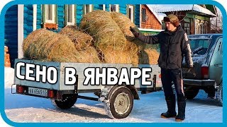 ДОКАТИЛИСЬ! ЗАГОТОВКА СЕНА В ЯНВАРЕ! ОБЗОР КРОЛИКОВ!