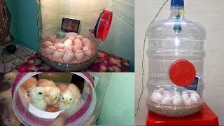 DIY - Homemade Incubator || How To Make Egg Incubator Simple And Easy (Hatching Chicken Eggs)
