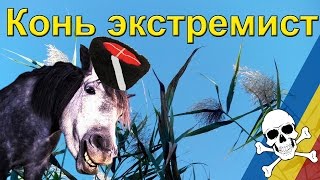 Баклановский Удар "Конь экстремист".