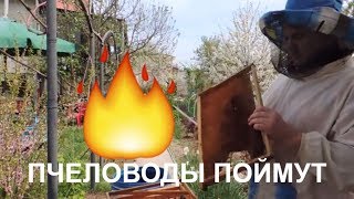 Пасека 2018/Как легко чистить старые рамки/Сложно /старые соты
