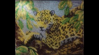 Алмазная Вышивка. Я ее закончила. Покрытие акриловым лаком. часть 4. ~Ириночка~