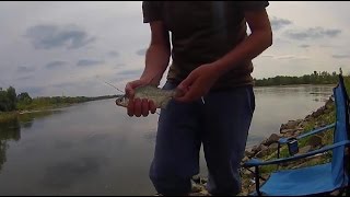 Łowienie w samo południe - przystawka, feeder, spinning