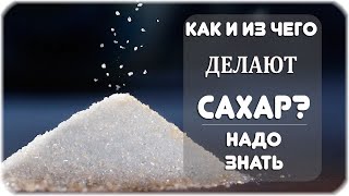 Как и из чего делают сахар?